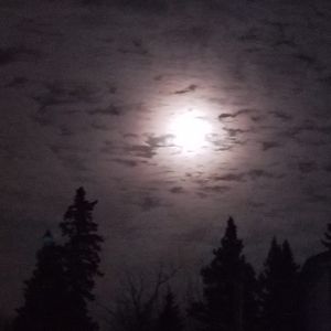 Meet your Posher, Leslie